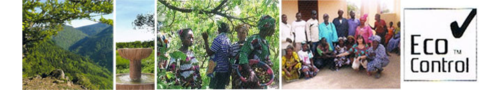 オーガニック栽培植物