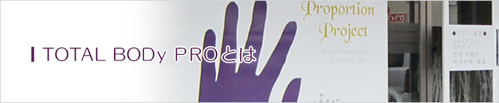 ボディ・プロとは